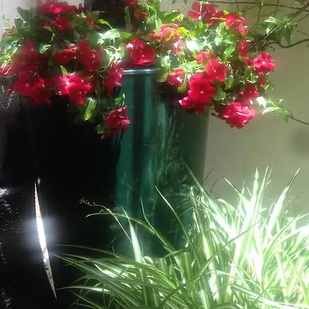 Bed & Breakfast Giardini Di Marzo Salerno
